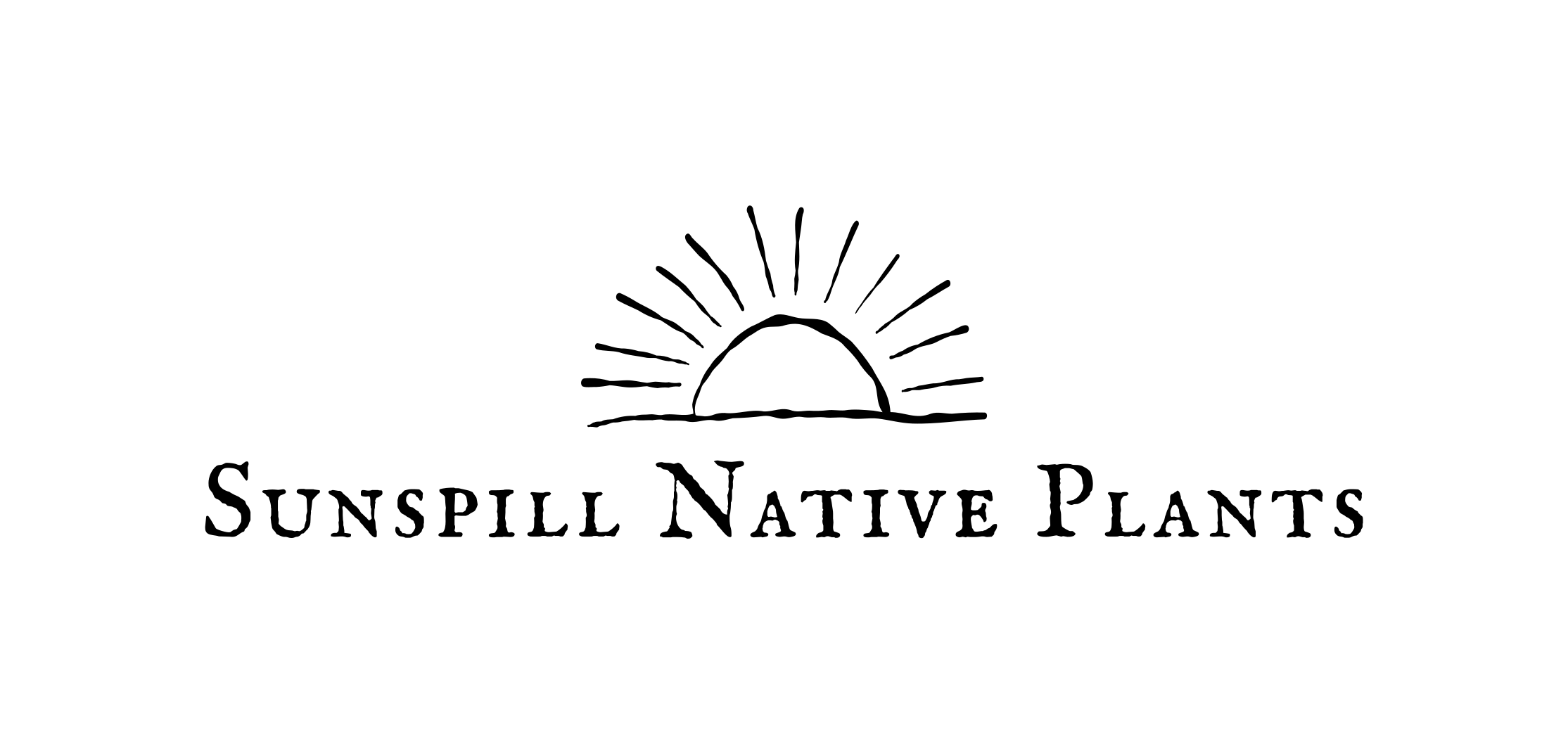 transparent logo